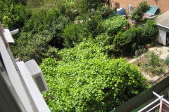 HACIENDA-DE-PAVONES-012