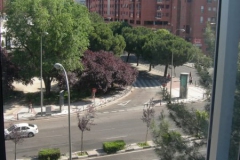 dscn6359