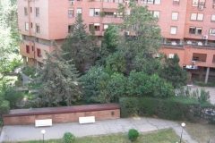 dscn6380